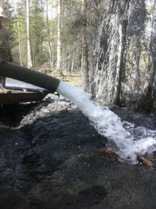 A large hose attached to a truck releases a strong stream of water onto dark soil in a forested area, with trees and sunlight visible in the background.